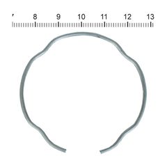 James, retaining ring for fork seal