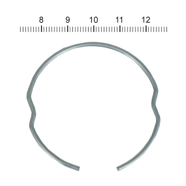 James, retaining ring for fork seal