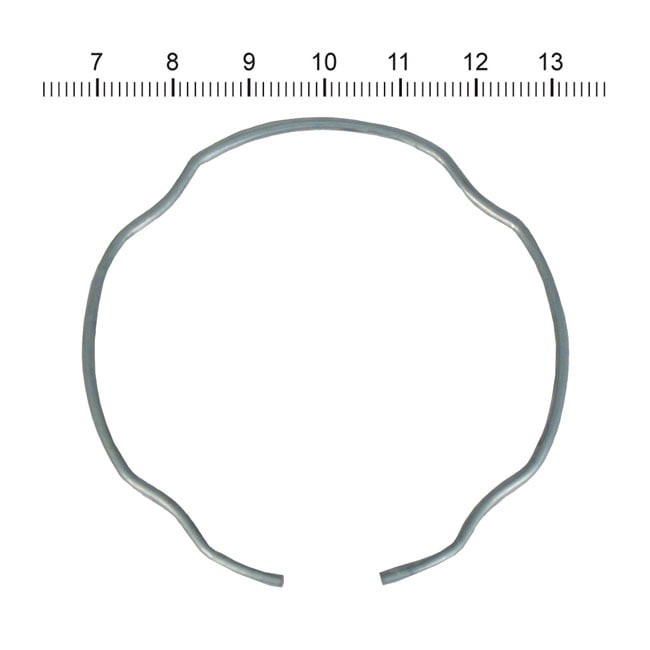 James, retaining ring for fork seal