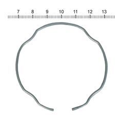 James, retaining ring for fork seal