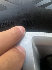 Ζαντολάστιχα-thumb-1