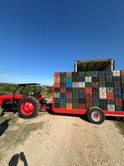 Γεωργικό Agco - Massey Ferguson 1975 165