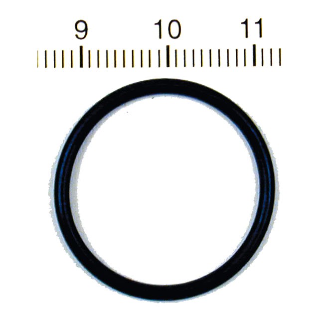 James, distributor base o-ring