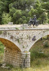 CFmoto MT-X 1000 2026-thumb-6