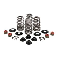KPMI, Beehive valve spring kit. Steel. .610" lift