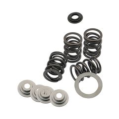 S, valve spring kit. STD to .480" valve lift