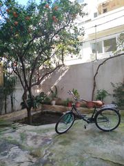 Πόλης MagikBike Italy 2025 Olanda 26"