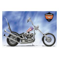Paughco, universal Fishtail muffler. 28" long. Left