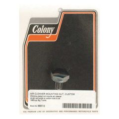COLONY AIR CLEANER COVER MOUNT BOLT