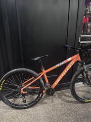 All - Mountain Specialized 2022 rockhopper-thumb-16