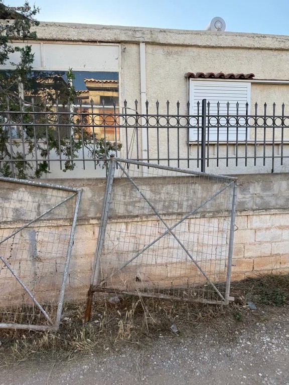 συρμάτινη πύλη