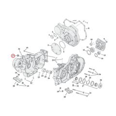 Colony, oversize timing/drain plug. Acorn-thumb-3