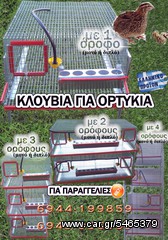 ΚΛΟΥΒΙΑ ΟΡΤΥΚΙΩΝ-thumb-13