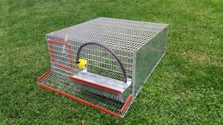 ΚΛΟΥΒΙΑ ΟΡΤΥΚΙΩΝ