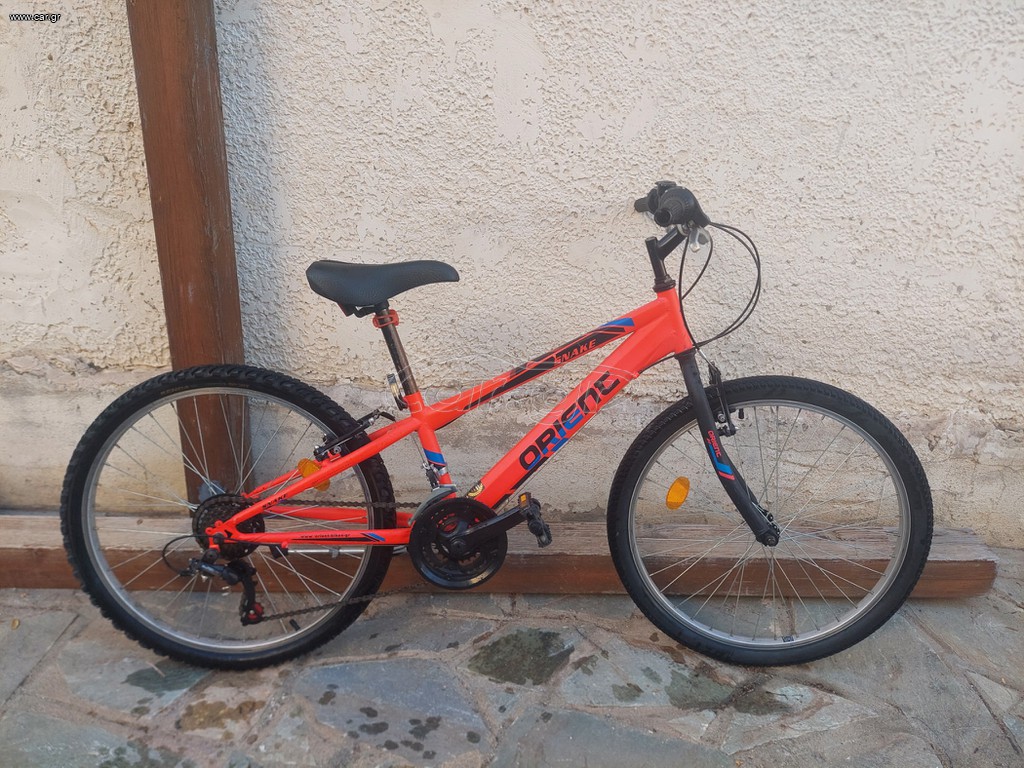 All - Mountain Orient 2019 Snake