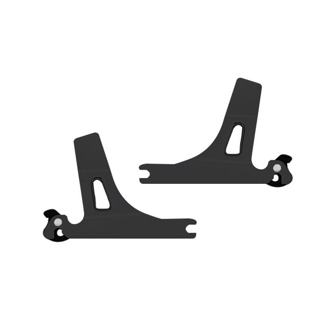 Detachable sissy bar side plates