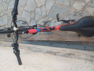 All - Mountain Orient 2019 Snake-thumb-1