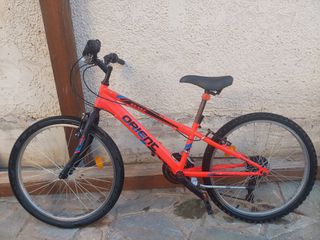 All - Mountain Orient 2019 Snake-thumb-13
