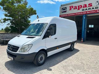 Κλούβα Mercedes-Benz 2008 sprinter 315 cdi-thumb-12