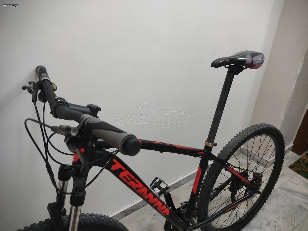 All - Mountain Tern 2026