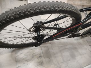 All - Mountain Tern 2026-thumb-1