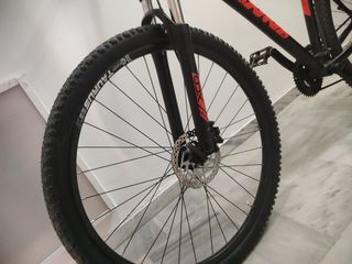 All - Mountain Tern 2026-thumb-5