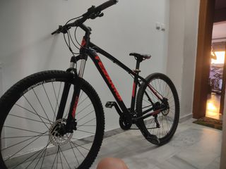 All - Mountain Tern 2026-thumb-6