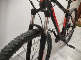 All - Mountain Tern 2026-thumb-7