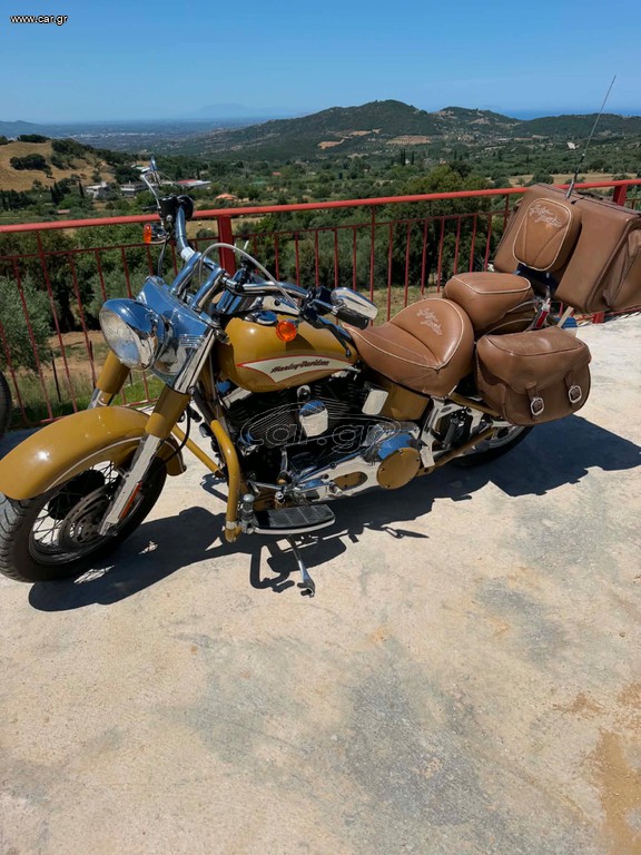 Harley Davidson Custom Bike 2013 SAM TRIBUTE