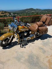 Harley Davidson Custom Bike 2013 SAM TRIBUTE