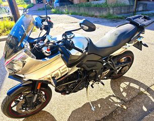 Triumph Tiger 1050 2019 2019-thumb-2