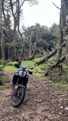 KTM 790 Adventure 2024-thumb-1