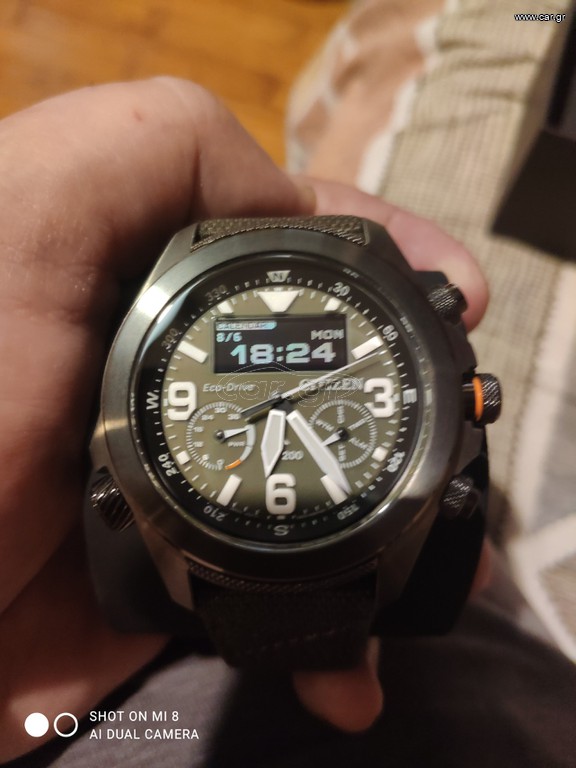 Citizen promaster