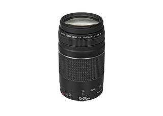 Canon 75-300mm