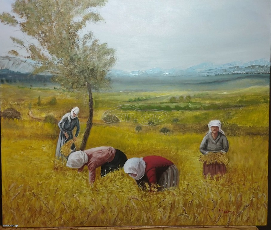 Καθαρισμός οικοπέδων