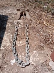 Άγκυρα χελώνα