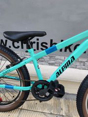 All - Mountain Alpina 2026 alpha-thumb-11