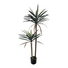 Διακοσμητικό φυτό Dracaena palm σε γλάστρα Inart πράσινο pp Υ125εκ