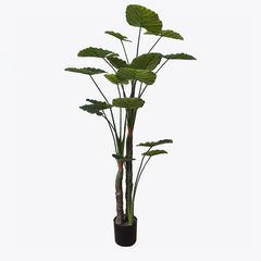 Διακοσμητικό φυτό σε γλάστρα Taro Plant Inart πράσινο Φ90x180εκ