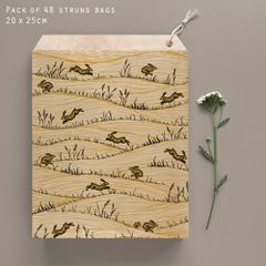 Σακουλάκια 20x27 (48)-Hares