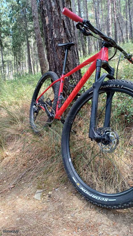 All - Mountain Specialized 2019 specialized chisel