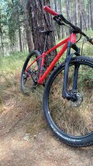 All - Mountain Specialized 2019 specialized chisel