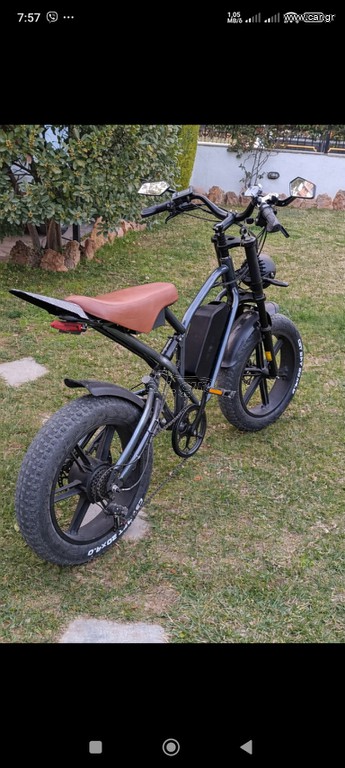 Fat Bikes 2024