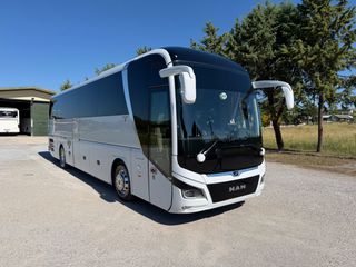 MAN 2020 LIONS COACH R 07 2020