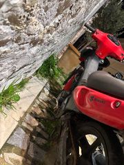 Suzuki FX 125 1999 FX 125