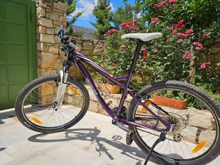 All - Mountain Specialized 2019 MICA