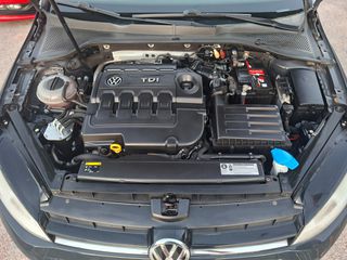 Volkswagen Golf 2015 1.6 TDI BLUEMOTION AUTOMATICS-thumb-19
