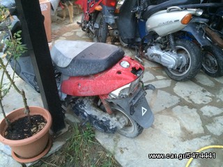 cheetah 50cc -thumb-6