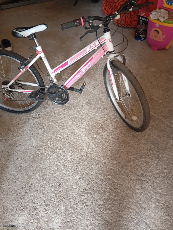 All - Mountain 2024 bady
