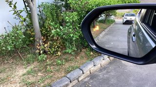 Toyota Yaris 2024 ACTIVE PLUS 125-thumb-21